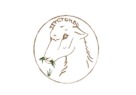 Logo Leptitondu